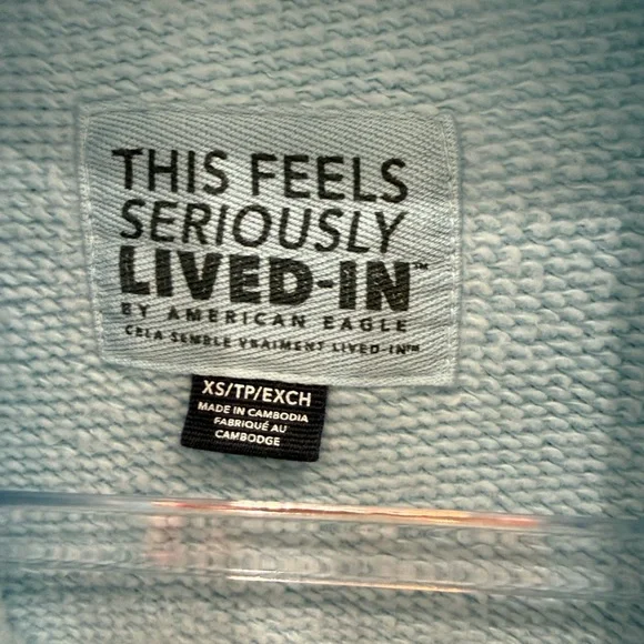 American Eagle Outfitters Light Blue Sweatshirt - Picture 5 of 9